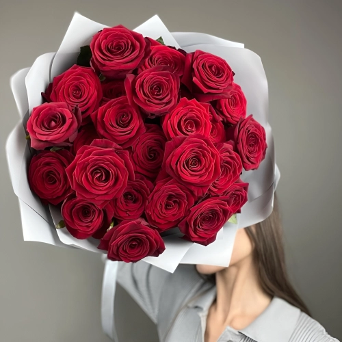 «Королевский бархат» – 25 роскошных красных роз из Эквадора  Чаплыгин Липецкая область