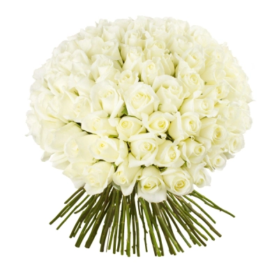 Роскошный букет из 101 белой розы – воплощение бесконечной любви Чаплыгин Липецкая область