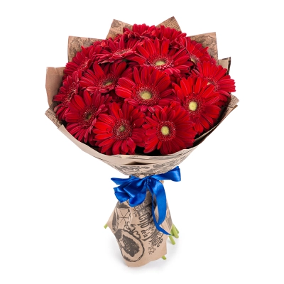 Яркий букет из 15 красных гербер – воплощение страсти и жизнерадостности Чаплыгин Липецкая область