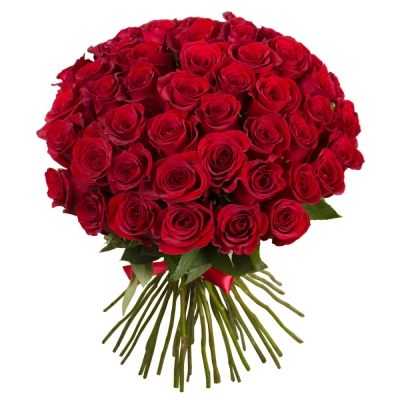 Букет «О, Шарман!» – 51 роскошная эквадорская роза Чаплыгин Липецкая область