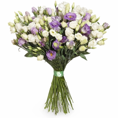 Изысканный букет из белых и фиолетовых эустом – гармония контрастов Чаплыгин Липецкая область