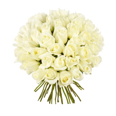 Роскошный букет из 51 белой розы – символ безграничной преданности Чаплыгин Липецкая область