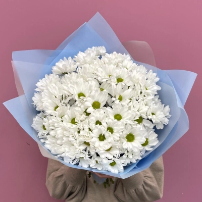 Букет «Ромашковое поле» – свежесть белых хризантем Чаплыгин Липецкая область