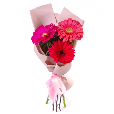 Яркий букет из 3 разноцветных гербер – маленькое чудо в ваших руках Чаплыгин Липецкая область