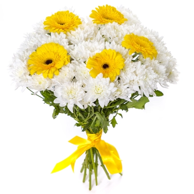 Солнечный букет из желтых гербер и белых хризантем – радость в каждом лепестке Чаплыгин Липецкая область