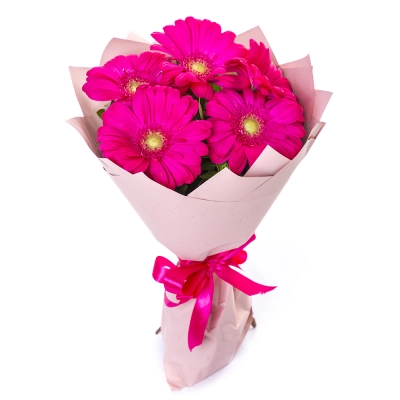 Букет из 5 малиновых гербер – сочный акцент вашего подарка Чаплыгин Липецкая область