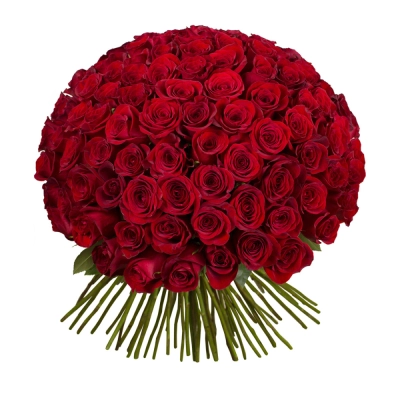 Букет из 101 красной розы – символ бесконечной страсти Чаплыгин Липецкая область