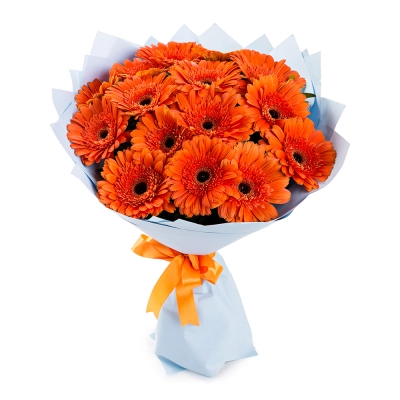 Яркий букет из 15 оранжевых гербер – как кусочек солнца в ваших руках Чаплыгин Липецкая область