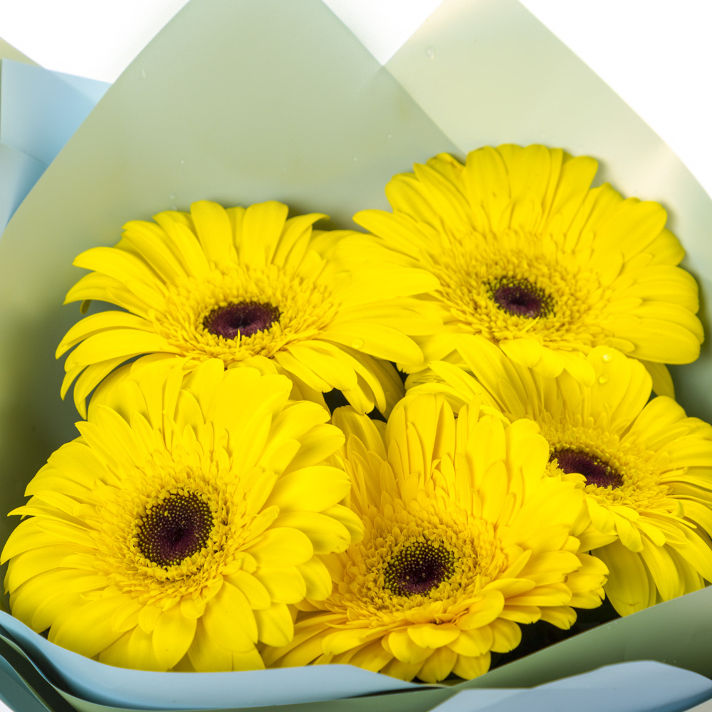 Яркий букет из 5 жёлтых гербер – как кусочек солнца в ваших руках Чаплыгин Липецкая область