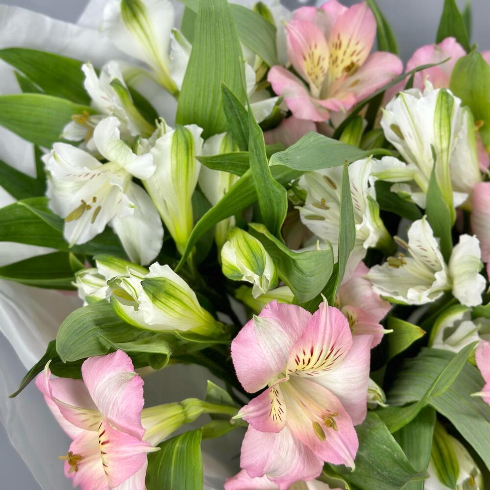 Букет «Нежность» – трогательное сочетание белых и розовых альстромерий Чаплыгин Липецкая область