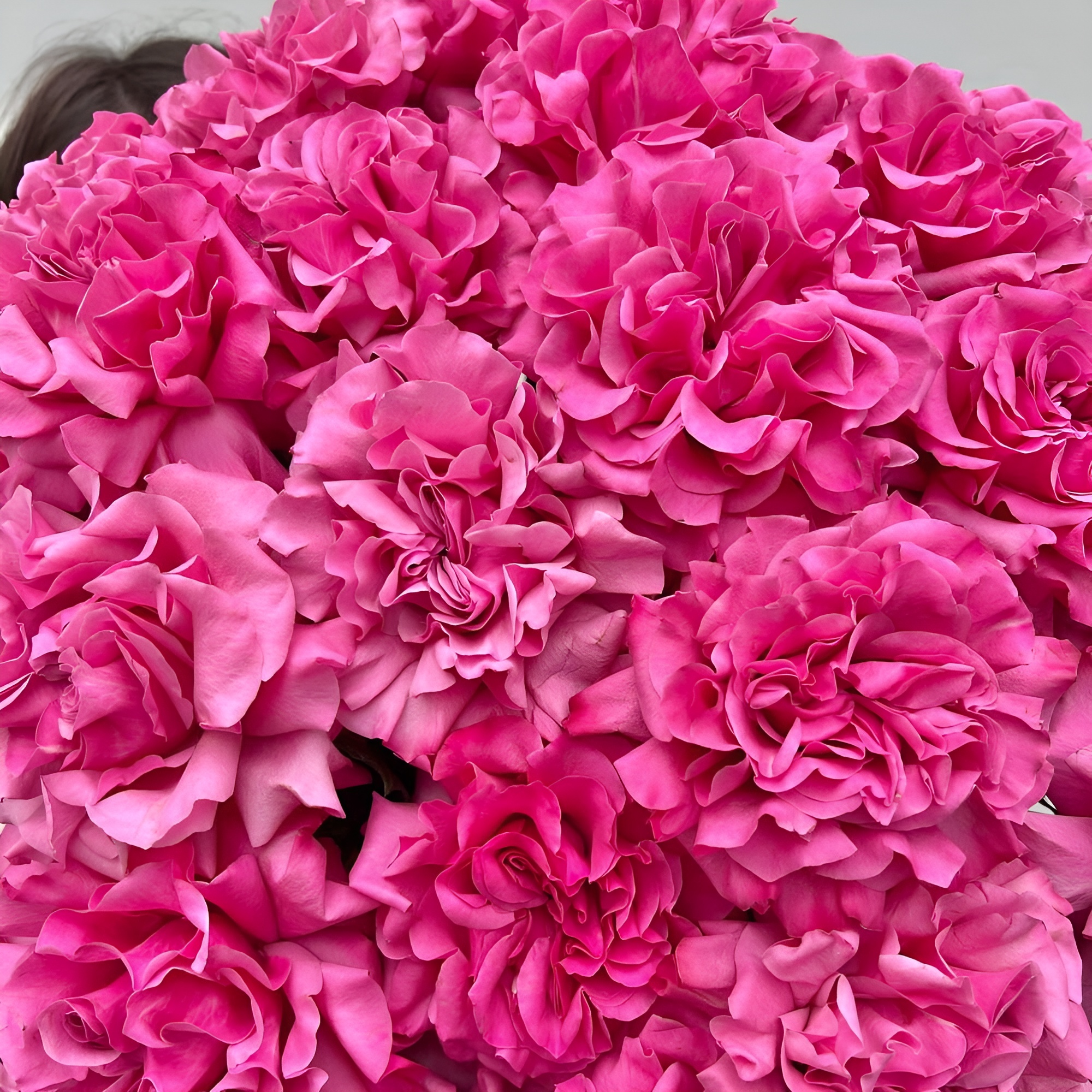 Роскошный букет из пионовидных роз – королевский подарок Чаплыгин Липецкая область