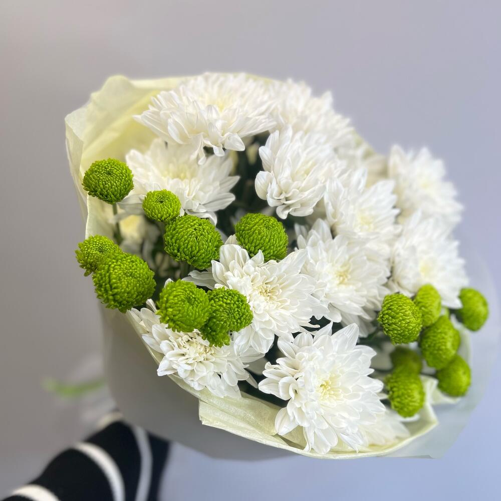 Эксклюзивный букет «Филин Грин» – сочетание белых и зеленых хризантем Чаплыгин Липецкая область