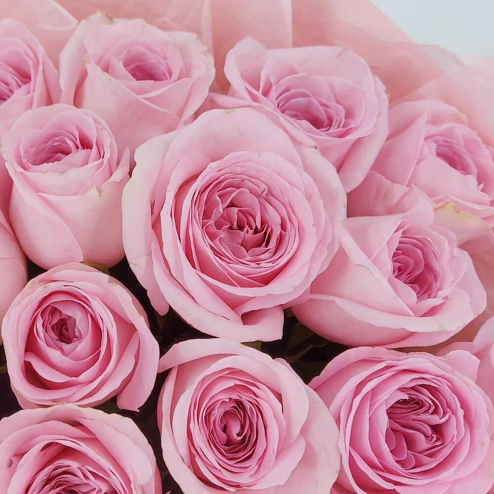 Букет из нежно-розовых роз – элегантность в каждом лепестке Чаплыгин Липецкая область