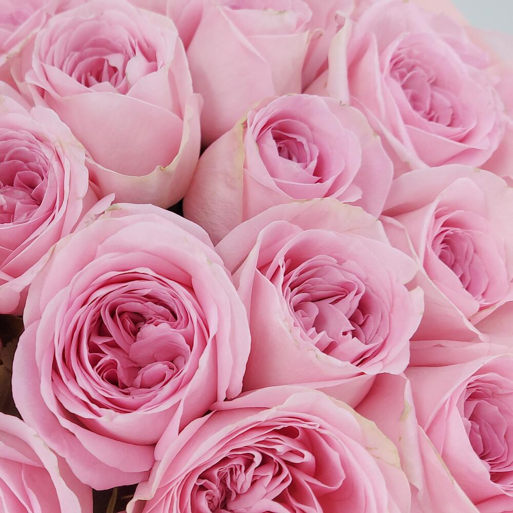 Букет из нежно-розовых роз – элегантность в каждом лепестке Чаплыгин Липецкая область
