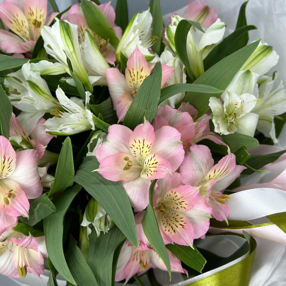 Букет «Нежность» – трогательное сочетание белых и розовых альстромерий Чаплыгин Липецкая область