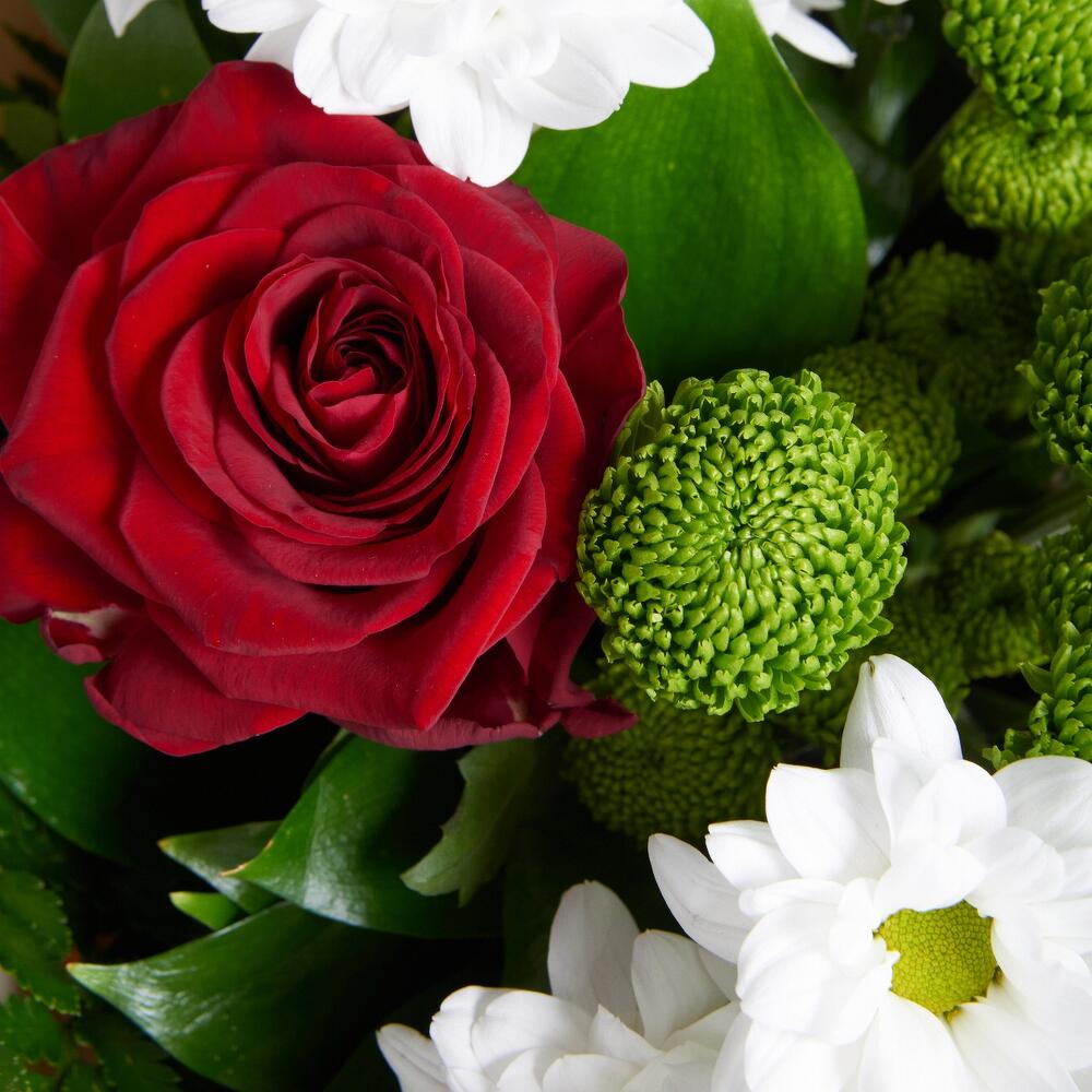 Букет «Настроение» – гармония красных эквадорских роз и нежных хризантем Чаплыгин Липецкая область