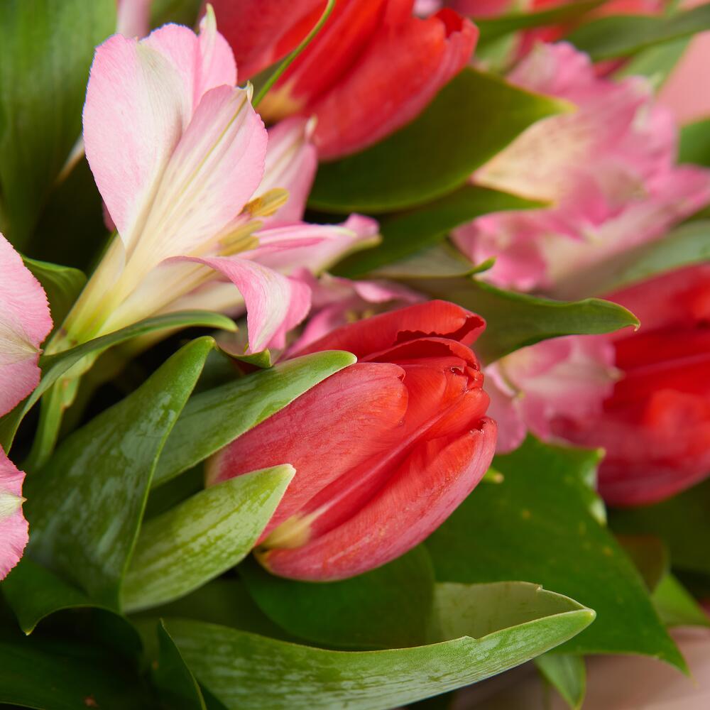 Букет «Первый поцелуй» красных тюльпанов и розовых альстромерий Чаплыгин Липецкая область