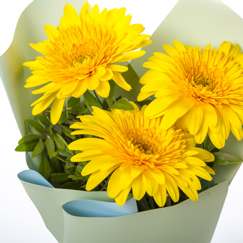 Яркий букет из 3 жёлтых гербер – частичка солнечного света Чаплыгин Липецкая область