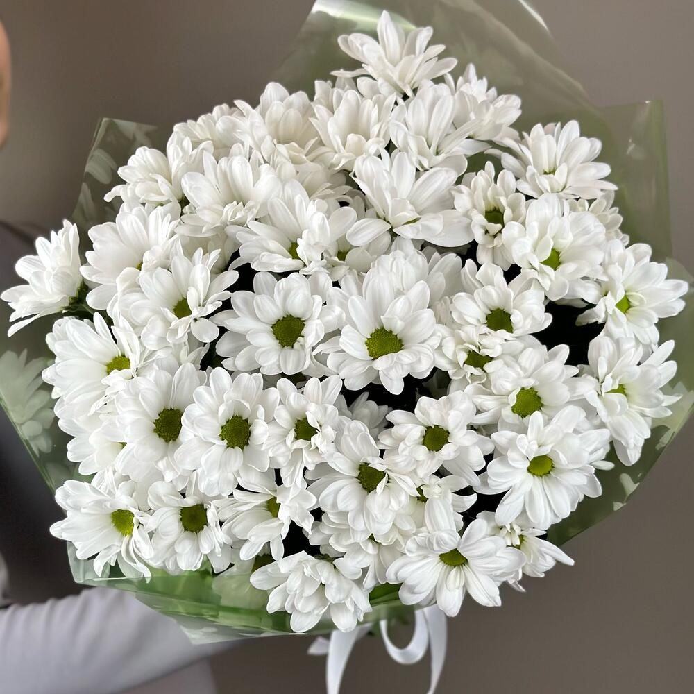 Букет «Мечты о лете» – свежесть белых хризантем Чаплыгин Липецкая область