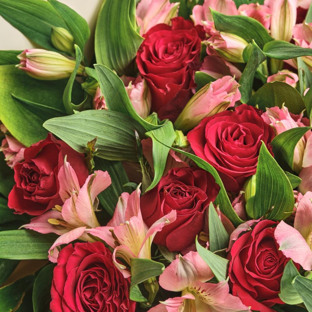 Букет «Нежность слов» — гармония красных роз и нежных альстромерий Чаплыгин Липецкая область