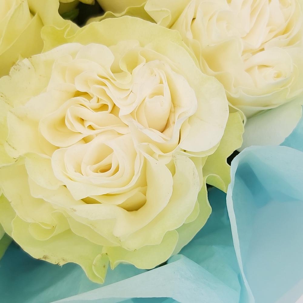 Букет «Кружевное облачко» – 11 белоснежных роз в нежной упаковке Чаплыгин Липецкая область