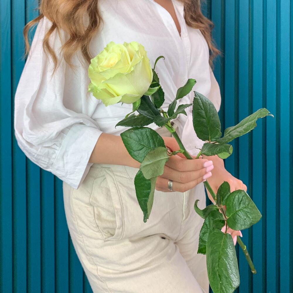 Комплимент из белой эквадорской розы – элегантность в каждом лепестке Чаплыгин Липецкая область