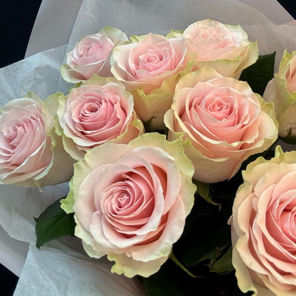 Букет из 9 розовых роз – нежность в каждом лепестке Чаплыгин Липецкая область