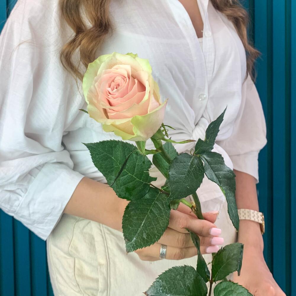 Комплимент из розовой эквадорской розы – минимализм роскоши Чаплыгин Липецкая область