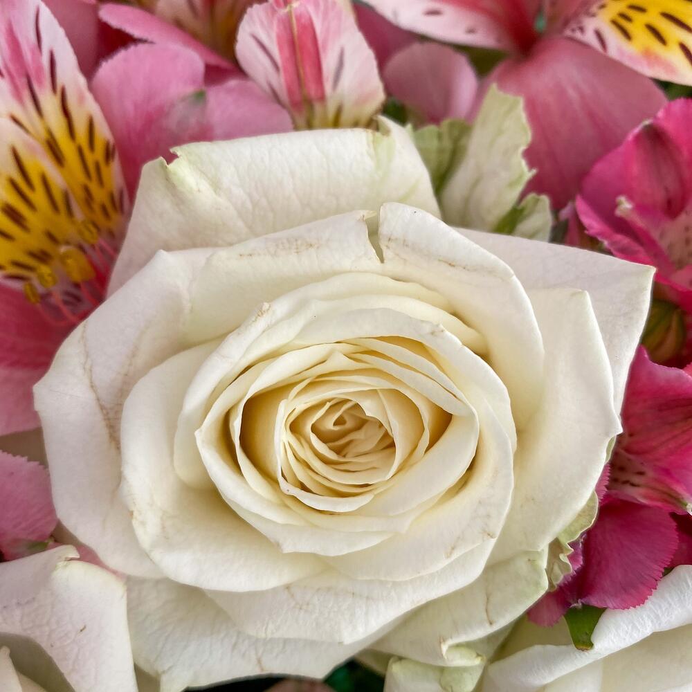 Букет «Николь» – изысканное сочетание роз, кустовых роз и альстромерий Чаплыгин Липецкая область