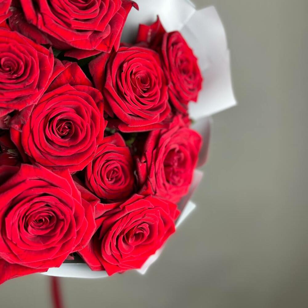 «Королевский бархат» – 25 роскошных красных роз из Эквадора  Чаплыгин Липецкая область