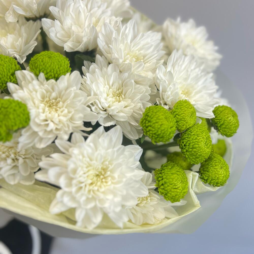 Эксклюзивный букет «Филин Грин» – сочетание белых и зеленых хризантем Чаплыгин Липецкая область