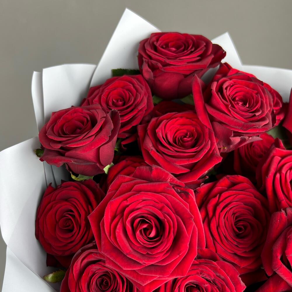 «Королевский бархат» – 25 роскошных красных роз из Эквадора  Чаплыгин Липецкая область