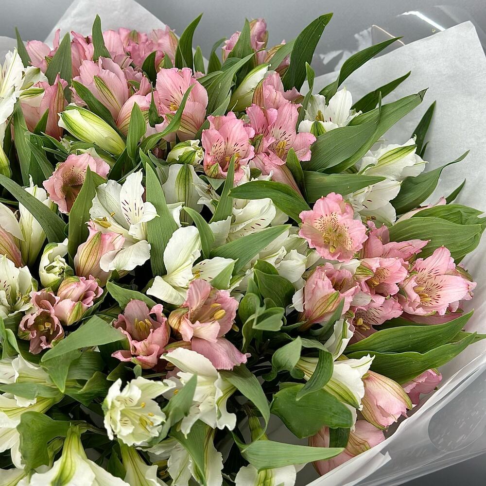 Букет «Гармония» – нежное сочетание белых и розовых альстромерий Чаплыгин Липецкая область