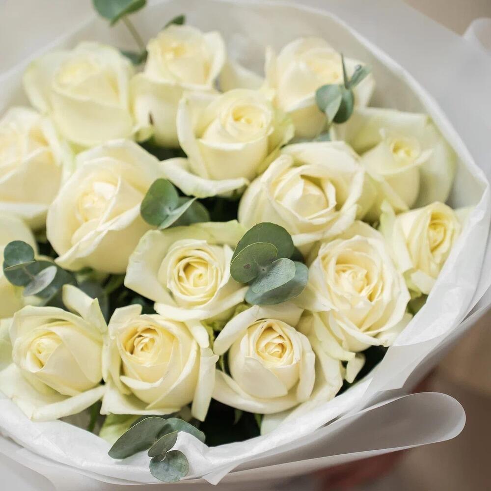 Букет из 15 белых роз с эвкалиптом – чистота и изысканность Чаплыгин Липецкая область
