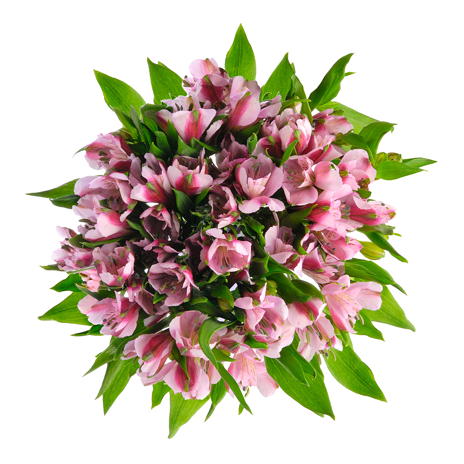 Букет «Хорошее настроение» из розовых альстромерий – солнечный подарок Чаплыгин Липецкая область