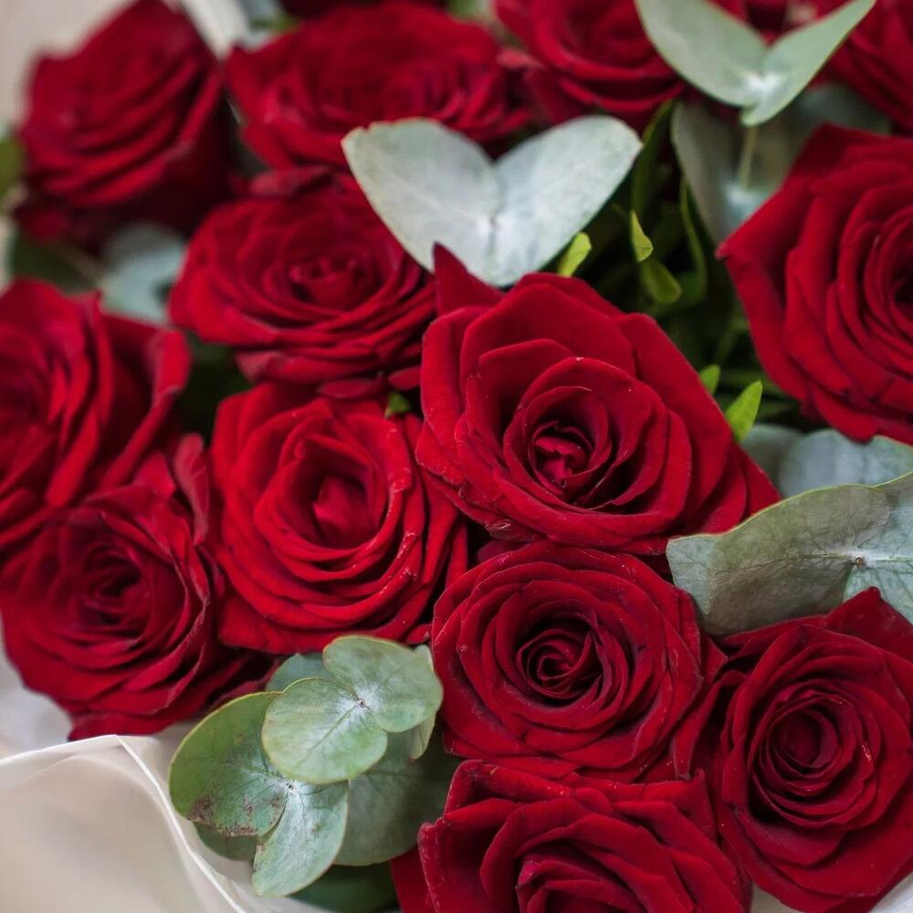 Элегантный букет из 15 красных роз с эвкалиптом – символ страсти и нежности Чаплыгин Липецкая область