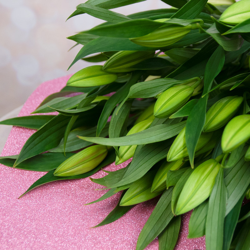 Изысканный букет из 15 свежих лилий – королевский подарок Чаплыгин Липецкая область