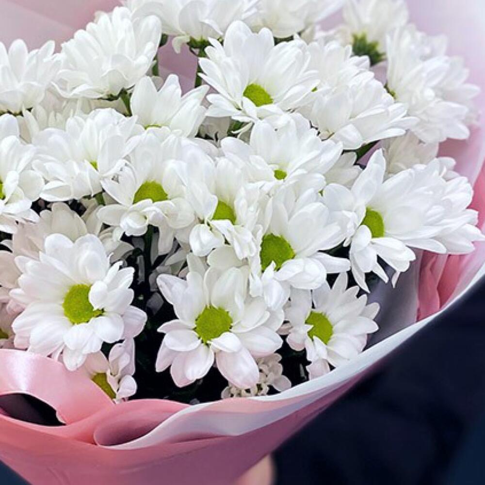 Букет «Розовое счастье» – нежность белых хризантем Чаплыгин Липецкая область