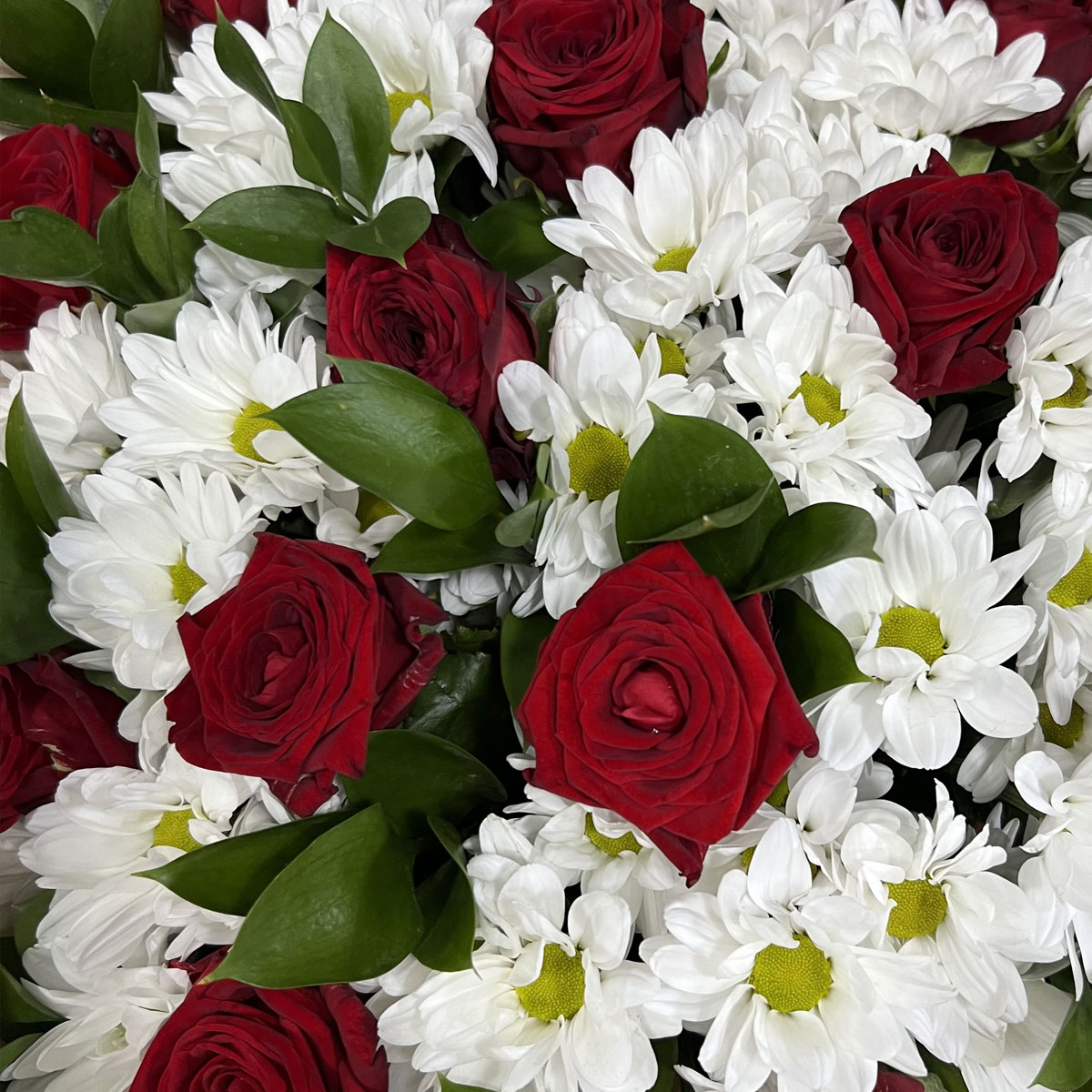 Букет «Романтика» — гармония красных роз и белоснежных хризантем Чаплыгин Липецкая область